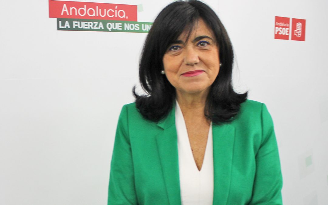 El PSOE de Jaén califica de deplorable el insulto de Tejerina: “cuando hay que trabajar por Andalucía, el PP aporta cero. Cuando hay que insultar a los andaluces, aporta insultos a puñados”
