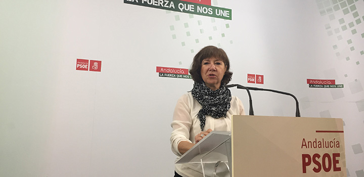 El PSOE destaca que la Ley Andaluza de Emprendimiento va a suponer “un ariete fundamental para relanzar la actividad”