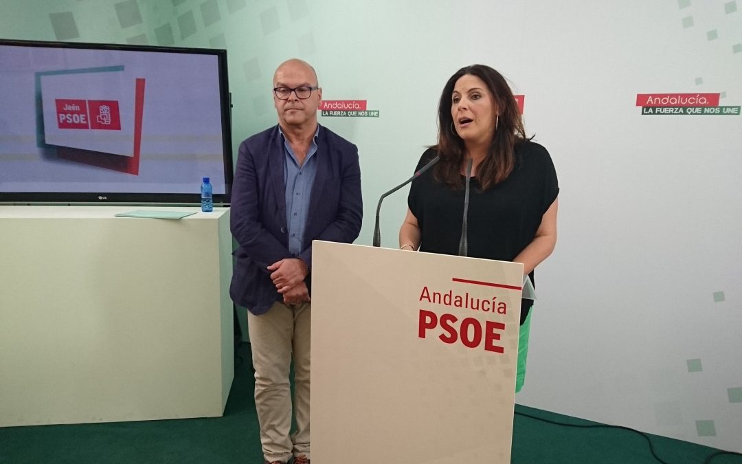 El PSOE exige explicaciones a Lillo ante un “escándalo de primera magnitud” por las presuntas presiones a la UDEV en el caso de la permuta municipal