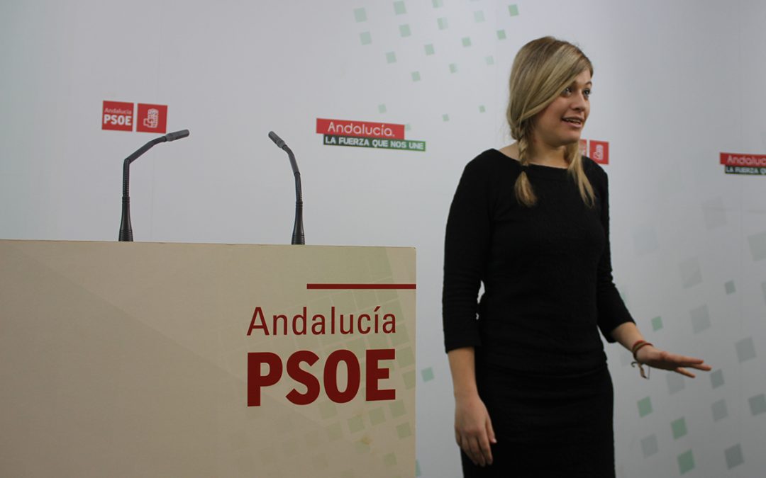 El PSOE presenta una moción para exigir al Gobierno que reactive las becas “que ha masacrado en los últimos 5 años”