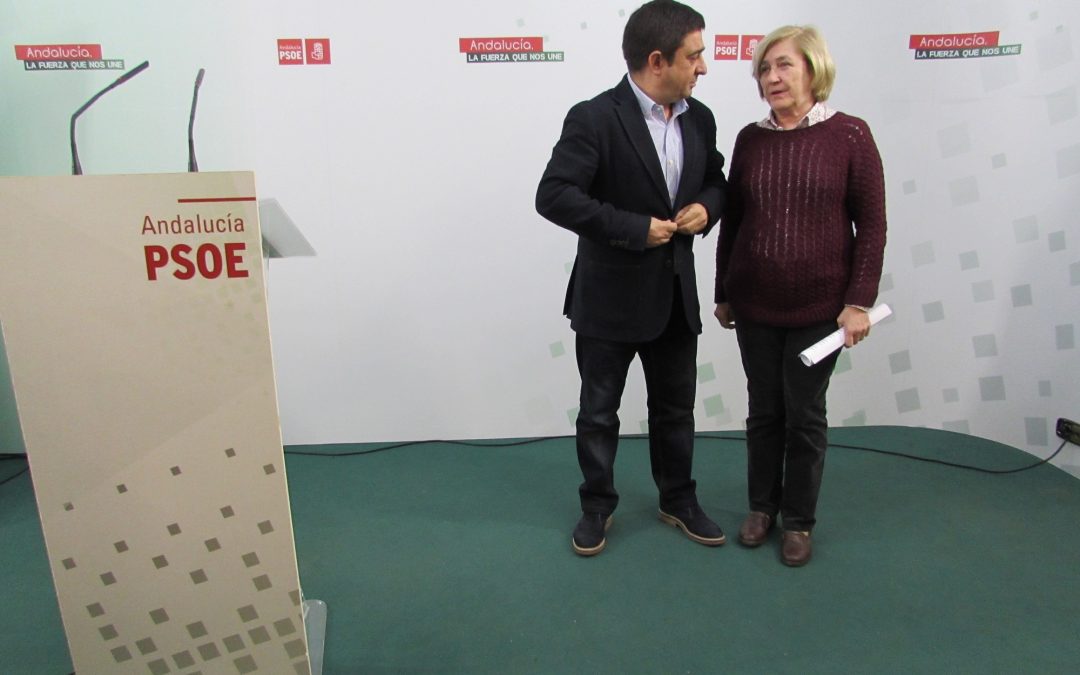 El PSOE de Jaén presenta una batería de propuestas para mejorar la sanidad pública en la provincia