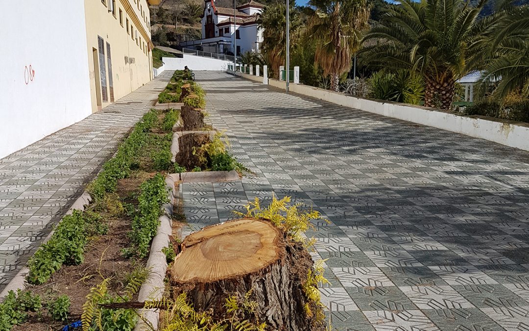 El PSOE denuncia la tala indiscriminada de los árboles del parque Jamilena por la Paz