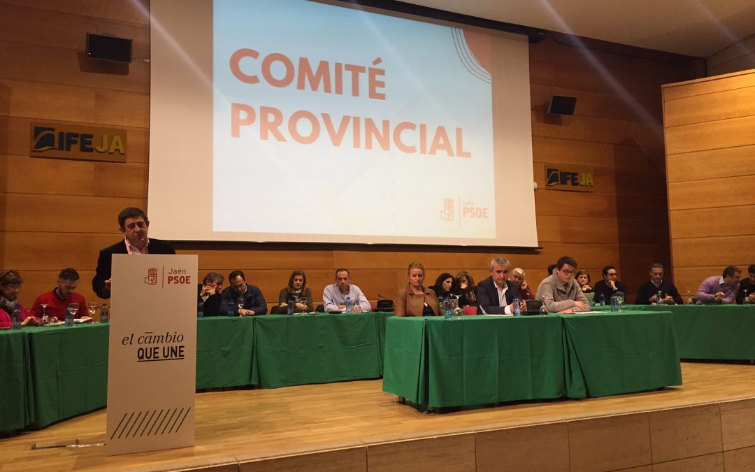 Reyes: “El PSOE ha sido, es y tiene que seguir siendo fundamental en este país”