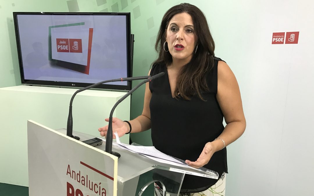 El PSOE de Jaén muestra su respeto hacia los manifestantes, pero insiste: “aquí no hay privatizaciones, ni copagos, ni despidos masivos, ni desmantelamientos”