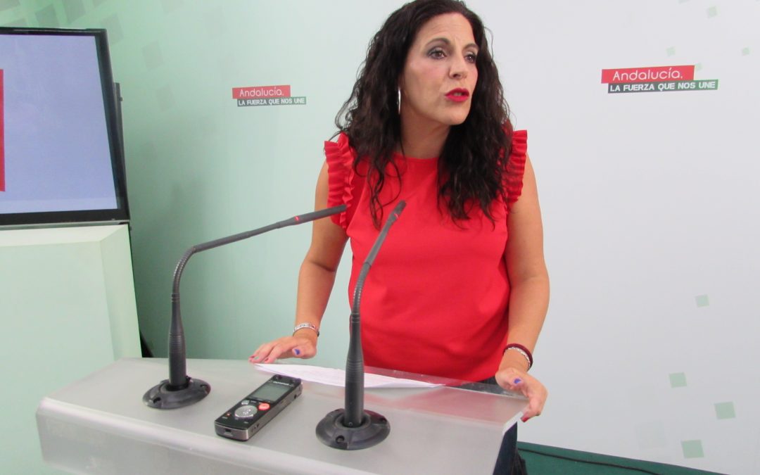 Férriz exige a Rodríguez y Maíllo que “hagan un paréntesis en su tournée electoral” y expliquen su incomprensible rechazo a la Ley de Igualdad