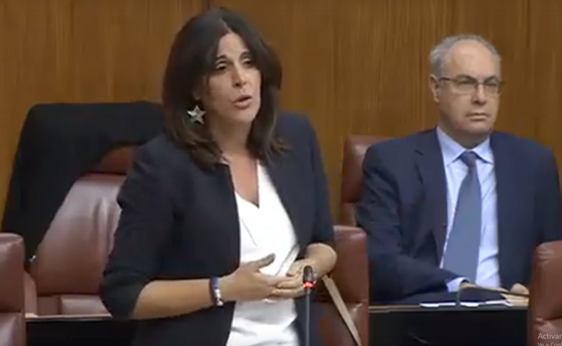 El PSOE pregunta por qué la delegada del Gobierno está “desaparecida en combate” en la crisis de los comedores