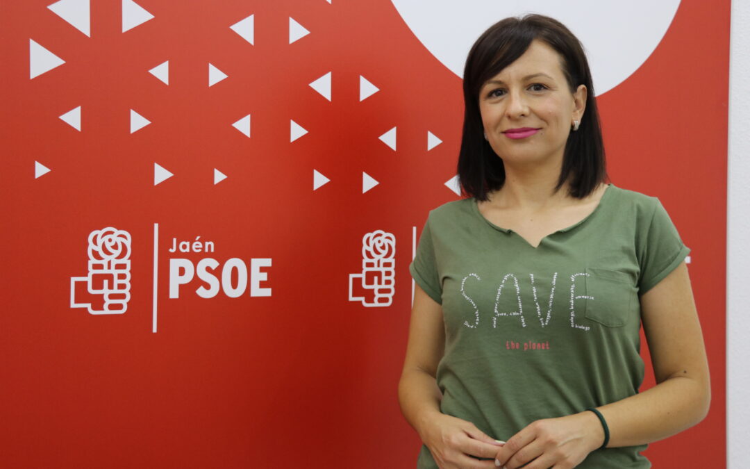 El PSOE lamenta la subida de paro de la EPA y advierte a la Junta que 65.000 parados de la provincia “están esperando respuestas”