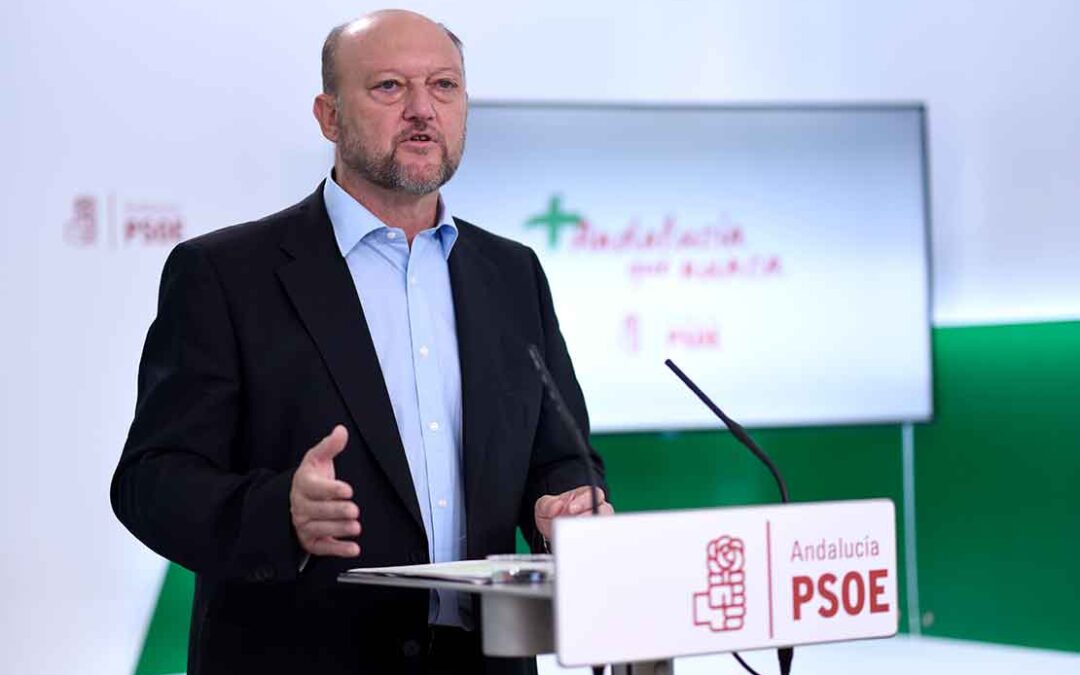 El PSOE-A pide “especial mimo” al olivar tradicional en la nueva PAC