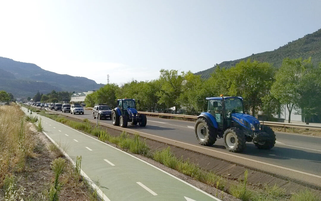 El PSOE respalda las movilizaciones del sector olivarero y destaca el incesante trabajo del Gobierno central con el olivar tradicional