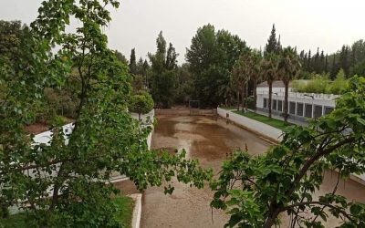 El PSOE exige transparencia y medidas al Ayuntamiento y a la Junta ante el cierre de la playa artificial de Mogón