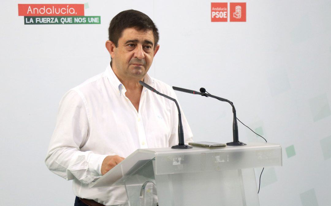 Jaén acude al Congreso del PSOE-A con la ilusión de “contribuir al cambio en Andalucía y levantar los cimientos del nuevo gobierno”
