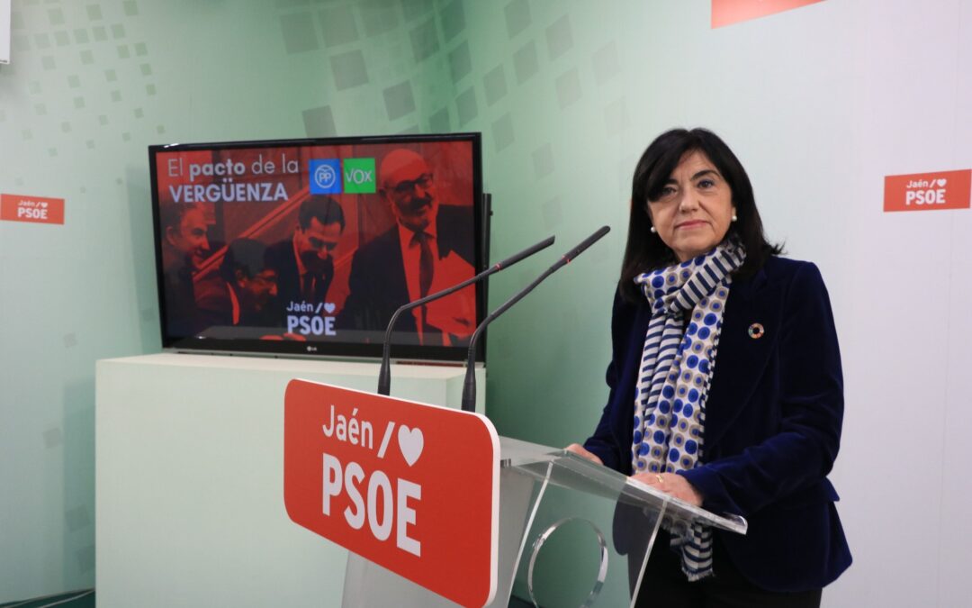 El PSOE advierte que Bonilla ha sido “el gran blanqueador de la ultraderecha” y ve evidente que “irán de la mano” a las urnas en Andalucía