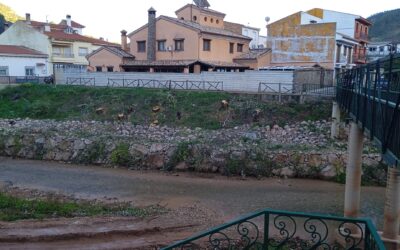 El PSOE acusa a la alcaldesa de La Puerta de la “devastación” en el Río Guadalimar
