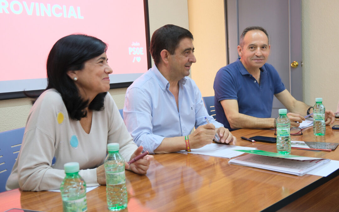 Aprobada la propuesta de diputados provinciales: “Total compromiso con Jaén”