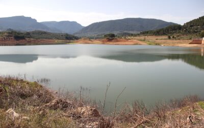 Satisfacción del PSOE por el “avance decisivo” para el regadío en la Presa de Siles