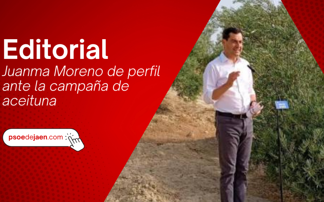 Juanma Moreno de perfil ante la campaña de aceituna