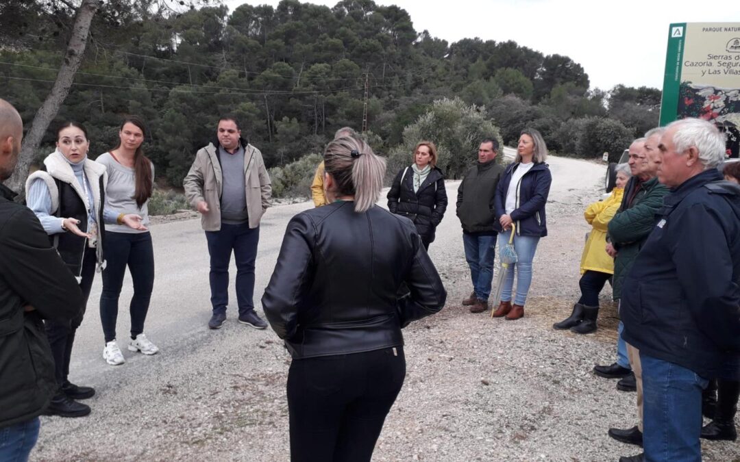 El PSOE visita la Transversal de Las Villas y comprueba las “deficiencias” y el estado de “inseguridad” en que la ha dejado la Junta de Andalucía