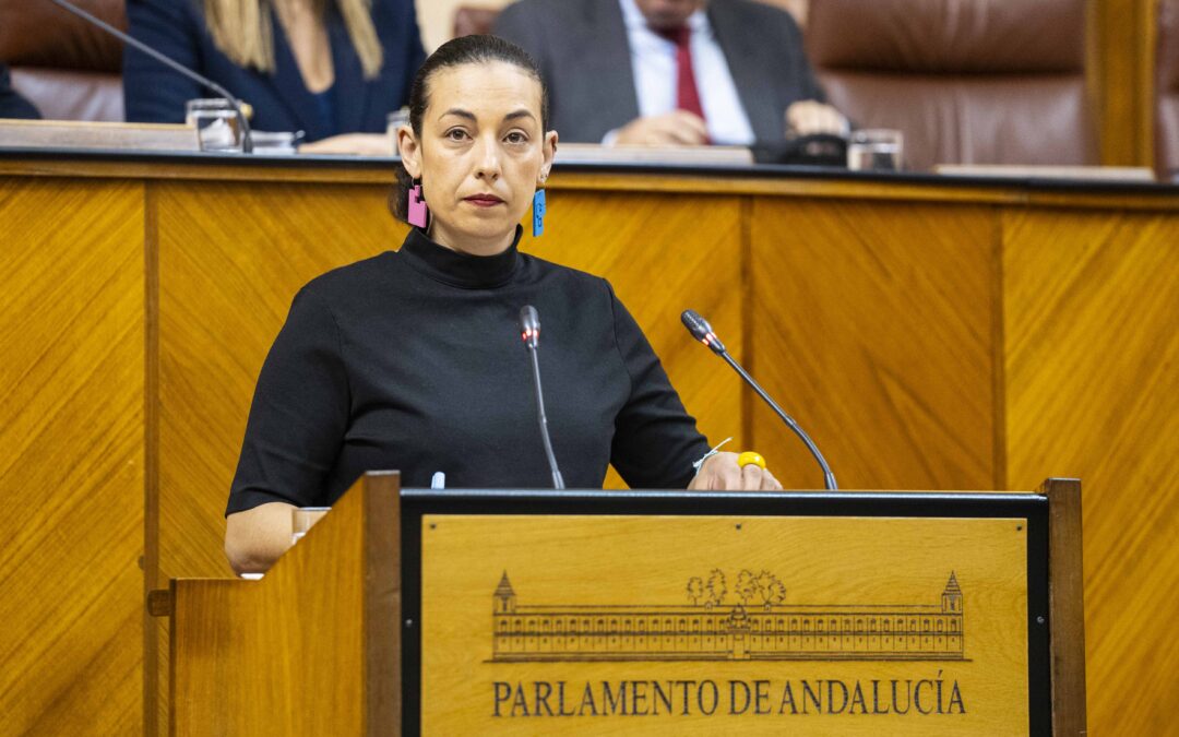 El PSOE llevará al Parlamento el recorte de la Junta en la Escuela Infantil de Alcaudete