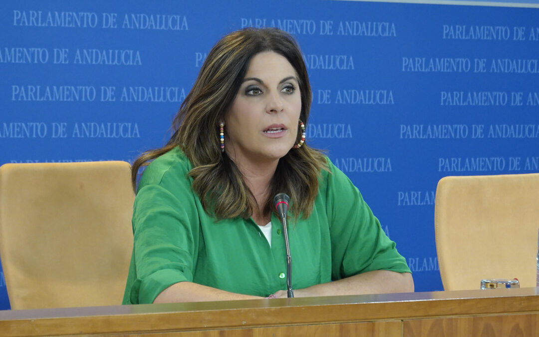 Férriz valora el trabajo de Diputación en el Centro de la Batalla de las Navas de Tolosa y exige que la Junta invierta en este espacio