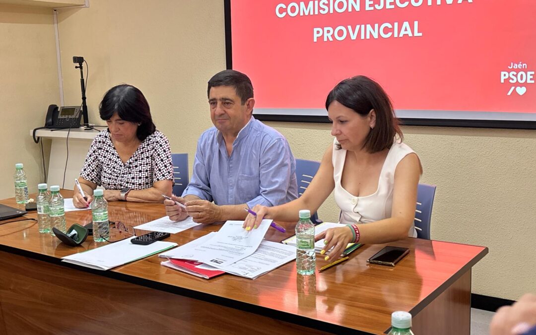 Reyes denuncia la “obsesión” de Juanma Moreno por “acabar con la sanidad pública”
