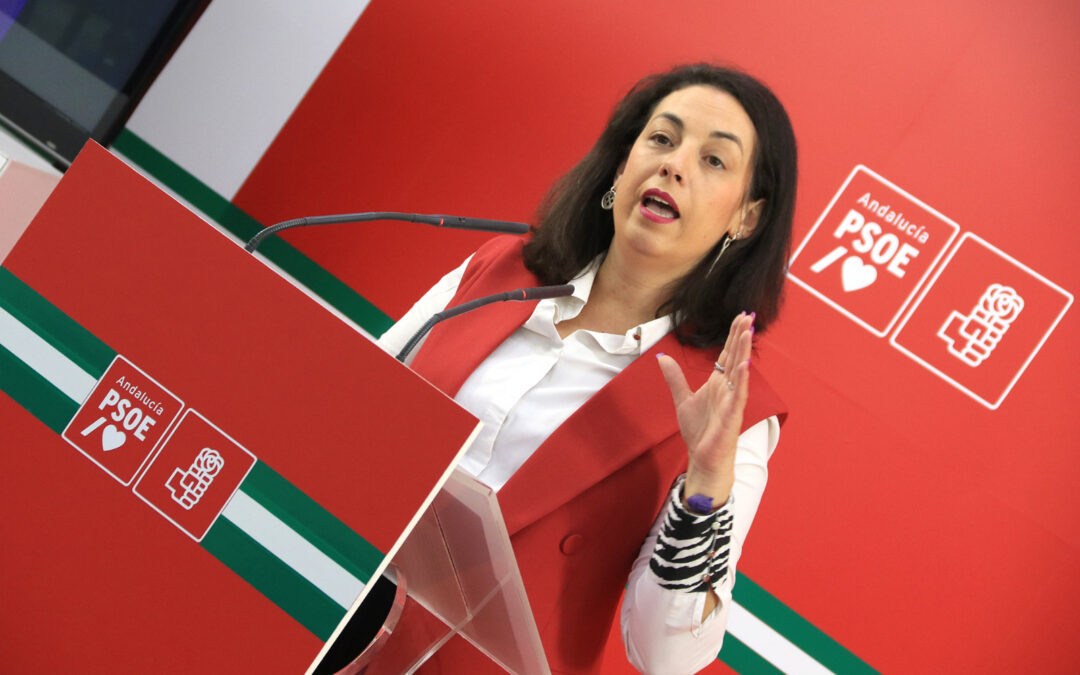 El PSOE denuncia las opiniones de la “caverna” del alcalde de Jaén y le exige explicaciones: “Si no son convincentes, debería hacer la maleta e irse a su casa”