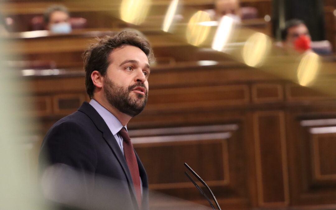 Serrano insta a Juanma Moreno a defender al olivar frente a las macroplantas: “La Junta tiene plenas facultades”