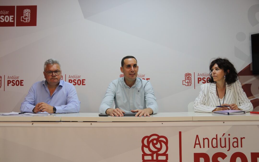 El PSOE-A exige a la Junta que asuma sus competencias frente al Virus del Nilo: “Juanma Moreno no se puede ir de rositas”