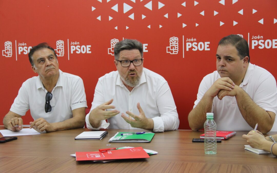 El PSOE-A denuncia que la ‘revolución verde’ de Moreno Bonilla “ni era revolución ni era verde”: “Es una revolución impostada de propaganda”
