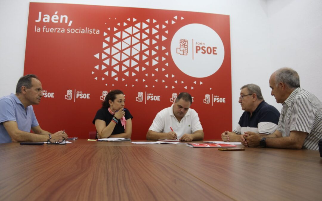 El PSOE exige a la Junta que dé respuesta al “colapso” de los juzgados y cumpla con las infraestructuras pendientes