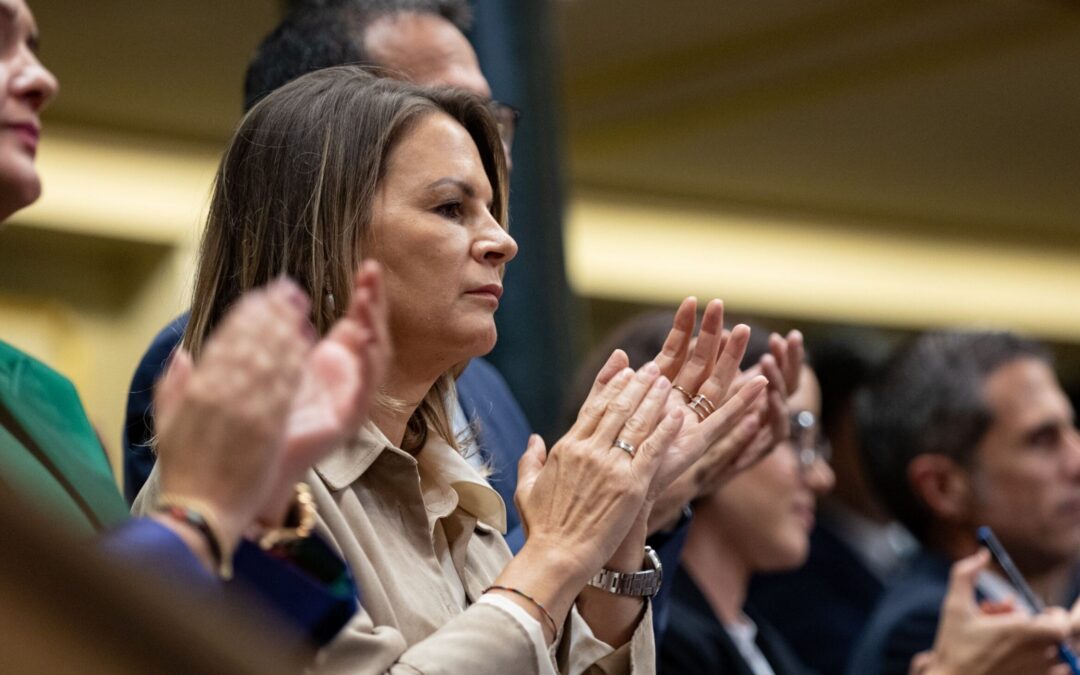 Jaén va a dar “un salto histórico” en su capacidad eléctrica gracias al Gobierno