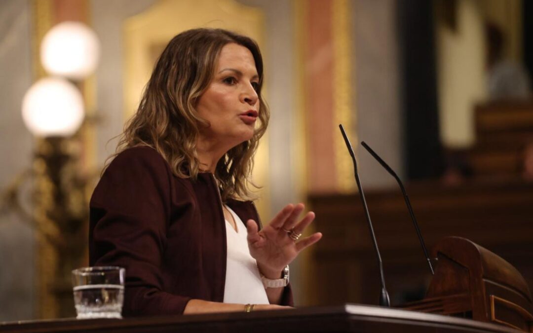 Ana Cobo: “El PP es el enemigo público número uno de los pensionistas de este país”