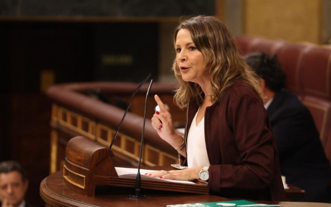 Ana Cobo: “El Gobierno está volcado en garantizar el derecho a la vivienda; el PP sólo garantiza el negocio y la especulación”