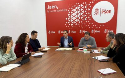 El PSOE registra un centenar de iniciativas parlamentarias para que la Junta informe de actuaciones para paliar los daños del temporal en Jaén