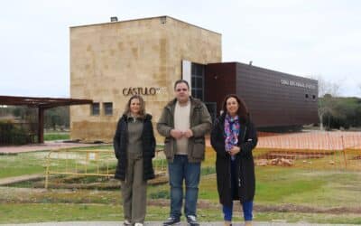 El PSOE valora el impulso a Castulo con la intervención del Gobierno de España y pide más recursos a la Junta