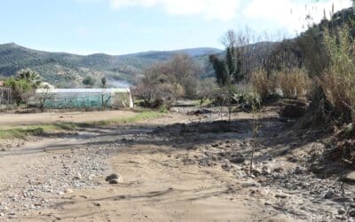 El Gobierno va a publicar los primeros 140.000 beneficiarios de las ayudas directas a agricultores y ganaderos