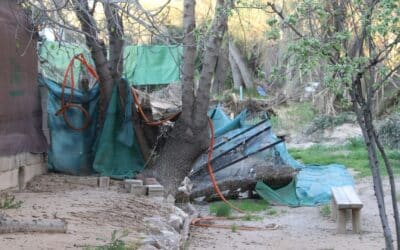 El PSOE denuncia el “abandono” de Mogón por parte del alcalde después de un mes del temporal