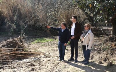 Las ayudas directas del Gobierno de España a los agricultores llegarán ya en las próximas semanas