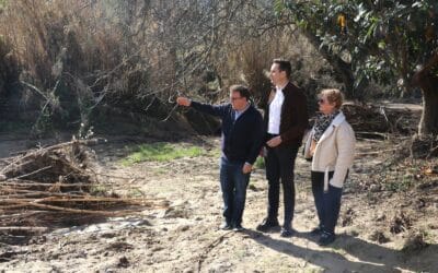 Las ayudas directas del Gobierno de España a los agricultores llegarán ya en las próximas semanas