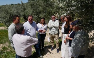 El algodoncillo se extiende: El PSOE exige a Moreno Bonilla medidas y ayudas urgentes