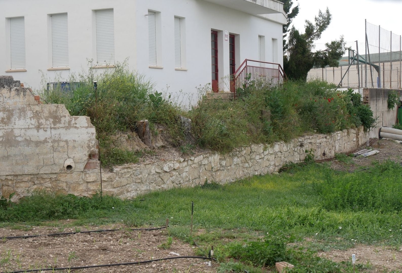 MURO FUERTE DEL REY